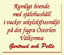 Rymligt boende med sj&auml;lvhush&aring;ll i vacker sekelskiftesmilj&ouml; p&aring; det fagra &Ouml;sterlen